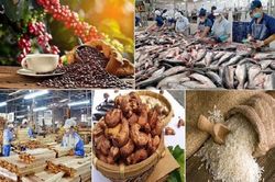 Xuất khẩu nông lâm thủy sản 7 tháng tăng trưởng gần 15%, cà phê lập kỷ lục mới