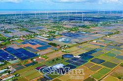 Biển bạc Cà Mau – Trụ cột phát triển vùng đất cực Nam