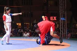 Sambo tìm chỗ đứng trong làng võ Việt Nam