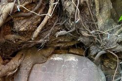 Chưa thể trùng tu bia yểm thủy đạo bị phá hoại ở Hội An