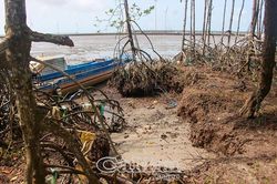Cà Mau đưa ra 2 kịch bản ứng phó sạt lở, sụt lún đất