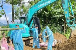 Mạng lưới thú y cơ sở bị 'đứt gãy': Công tác phòng chống dịch bệnh gặp khó