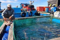 Bãi bỏ hoàn toàn nhiều thủ tục hành chính về nông nghiệp và môi trường