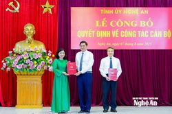 Đồng chí Nguyễn Thị Hồng Hoa giữ chức Phó Chủ nhiệm Ủy ban Kiểm tra Tỉnh ủy Nghệ An