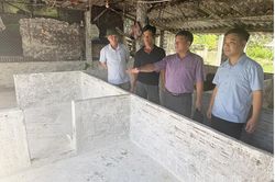 Trên 187 tấn vôi bột, hóa chất khử trùng được cấp phát cho các hộ chăn nuôi