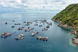 Thêm 536 tỷ đồng đầu tư phát triển thủy sản bền vững