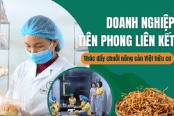 Doanh nghiệp tiên phong liên kết, thúc đẩy chuỗi nông sản Việt hữu cơ