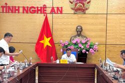 Nghệ An chủ động rà soát, đánh giá đẩy nhanh tiến độ sắp xếp, đổi mới doanh nghiệp