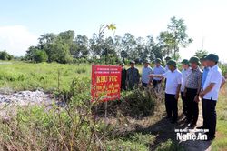 Nghệ An tập trung mọi nguồn lực, xử lý dứt điểm các ổ dịch tả lợn châu Phi và bệnh trên lúa hè thu