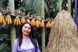 Hình ảnh quê hương trong chuyện tình người xa xứ