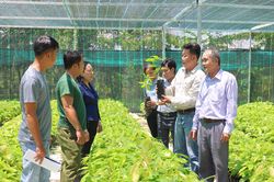 Kinh tế tập thể ở Tây Ninh: Bệ phóng bền vững từ những mô hình hợp tác hiệu quả