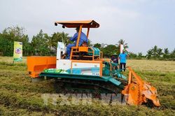 Từ cơ chế đến công nghệ: Để trồng trọt sản xuất xanh, giảm phát thải
