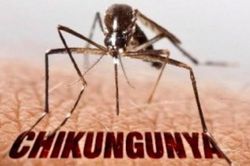 Bệnh Chikungunya nguy hiểm như thế nào?