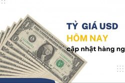Tỷ giá USD hôm nay (11/8): Thế giới duy trì đà giảm, 'chợ đen' giao dịch quanh mốc 26.398 - 26.478 đồng/USD