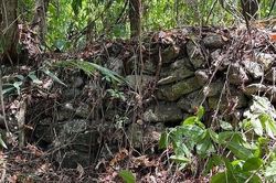 Tìm thấy thành phố Maya bị thất lạc sau 330 năm