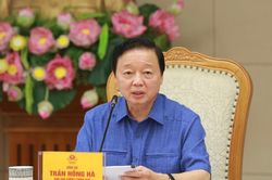 Xem xét kỹ việc quy hoạch dân cư, bố trí cơ sở hạ tầng y tế, trường học tại vùng dễ bị thiên tai