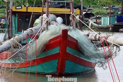 Hải Phòng xử phạt 19 chủ tàu tàng trữ kích điện khai thác thủy sản trái phép