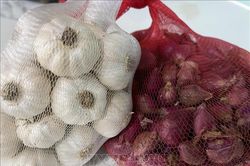 Khánh Hòa: Giá nông sản đặc thù giảm mạnh