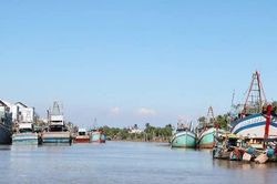 Vĩnh Long cấp bách triển khai các giải pháp tháo gỡ 'thẻ vàng' của EC