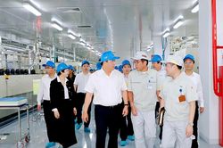 Chủ tịch UBND tỉnh Trần Duy Đông kiểm tra một số dự án trên địa bàn