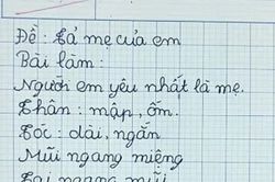 Viết văn tả về người mẹ 'không có thật', cậu bé lớp 2 bị cô giáo chấm 4 điểm