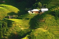 Bản Ý Linh Hồ vào mùa lúa ngả vàng, đẹp mê hoặc lôi cuốn du khách