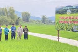 Lai Châu: Hướng dẫn hỗ trợ phát triển sản phẩm OCOP khi thực hiện chính quyền địa phương 2 cấp