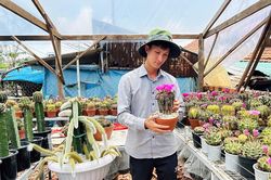 Theo đuổi đam mê, dựng nghiệp từ xương rồng