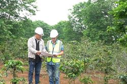Chính phủ bổ sung quy định về bồi thường cây trồng, vật nuôi khi Nhà nước thu hồi đất