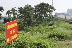 Bắc Ninh: Xử lý khẩn cấp khắc phục các sự cố về đê điều