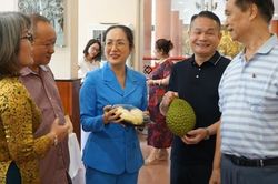 Xây dựng chuỗi giá trị sầu riêng Đắk Lắk xuất khẩu sang Trung Quốc