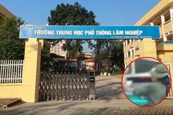 Phụ huynh, nhà trường lên tiếng về hành vi phản cảm của học sinh với đoàn xe A80
