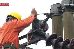 Đề xuất tính khoản lỗ, chênh lệch tỷ giá của EVN vào giá điện