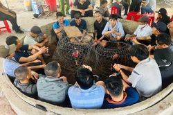 Phá 'trường gà' bắt 22 'con bạc'