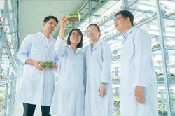 Đề xuất tiêu chuẩn nhà khoa học trẻ, kỹ sư trẻ tài năng