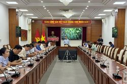 Trang trọng, ý nghĩa, để lại dấu ấn