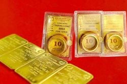 Giá vàng hôm nay 19/8: Giá vàng miếng SJC phá kỷ lục mới