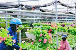 Tổ chức Cuộc thi viết về gương điển hình tiên tiến xây dựng nông thôn mới