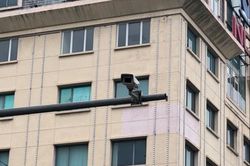 Để AI phát huy vai trò giám sát, xử lý vi phạm giao thông