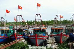 Ngư dân Hải Phòng 'nói không' với khai thác hải sản bất hợp pháp