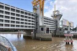 Đưa vào hoạt động công trình hỗ trợ phát triển vùng cây ăn trái, hoa kiểng tại Vĩnh Long