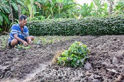 Quản lý thực phẩm ngay từ khâu sản xuất