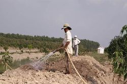 Giảm 30% tiền thuê đất năm 2025 cho các trường hợp trả tiền thuê đất hằng năm