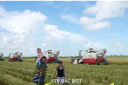 'Hạt giống hạnh phúc': Phim tài liệu về tình hữu nghị Việt Nam - Cuba