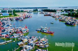 Ninh Bình quyết liệt hành động nhằm gỡ 'thẻ vàng' của EC