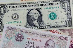 Tỷ giá USD hôm nay 21/8: Chợ đen tăng mạnh cả hai chiều, đồng bạc xanh quốc tế hạ nhiệt