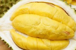 Giá sầu riêng hôm nay 21/8: Thị trường nội địa tăng trở lại, sầu riêng Việt tăng tốc xuất khẩu