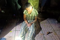 Bắt giữ phạm nhân trốn trại ẩn mình trên cây rừng