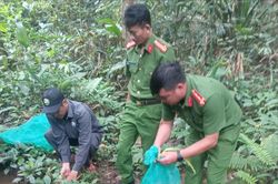 Gia Lai: Thả 3 cá thể rùa quý hiếm, nguy cấp về môi trường tự nhiên