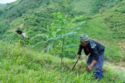 Quảng Trị khởi động dự án hỗ trợ sinh kế thích ứng biến đổi khí hậu